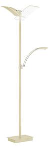 STOJACIA LED LAMPA, 31/21/182 cm Hell - Interiérové svietidlá