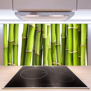 Sklenený obklad Do kuchyne Bambus rastlina príroda 100x50 cm