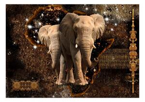 Samolepiaca fototapeta - Hnedé slony 147x105