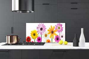 Sklenený obklad Do kuchyne Farebné kvety príroda 100x50 cm