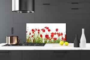 Sklenený obklad Do kuchyne Maky kvety príroda 100x50 cm