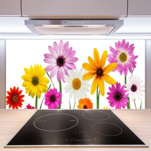 Sklenený obklad Do kuchyne Farebné kvety príroda 100x50 cm