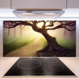 Sklenený obklad Do kuchyne Strom lúče slnko 100x50 cm