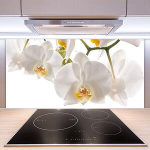 Sklenený obklad Do kuchyne Orchidea kvety príroda 100x50 cm