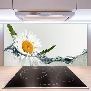 Sklenený obklad Do kuchyne Sedmokráska vo vode 100x50 cm