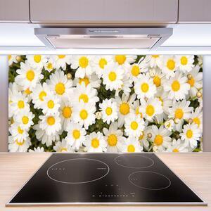 Sklenený obklad Do kuchyne Sedmokrásky kvety 100x50 cm