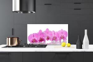 Sklenený obklad Do kuchyne Ružová orchidea kvety 100x50 cm