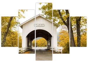 Obraz mosta v Oregone (150x105 cm)