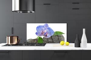 Nástenný panel  Kvet rastlina príroda 100x50 cm