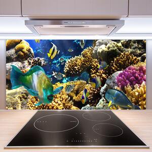 Nástenný panel  Koralový útes príroda 100x50 cm