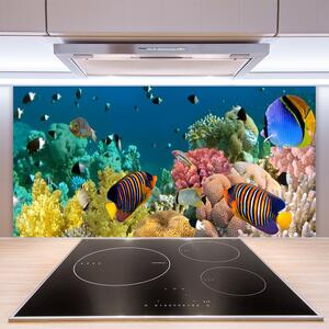 Nástenný panel  Koralový útes príroda 100x50 cm