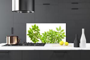 Sklenený obklad Do kuchyne Vetva listy rastlina príroda 100x50 cm