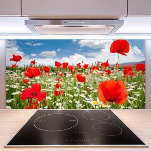 Sklenený obklad Do kuchyne Lúka kvety príroda 100x50 cm