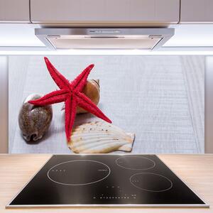 Sklenený obklad Do kuchyne Hviezdice mušle umenie 100x50 cm