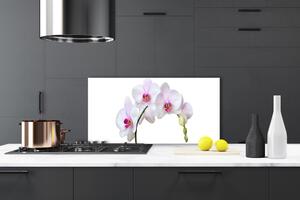 Sklenený obklad Do kuchyne Vstavač orchidea kvety 100x50 cm