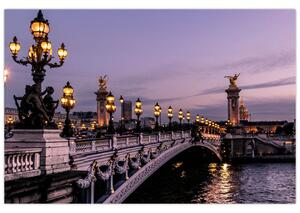 Obraz - Most Alexandra III. v Paríži (90x60 cm)