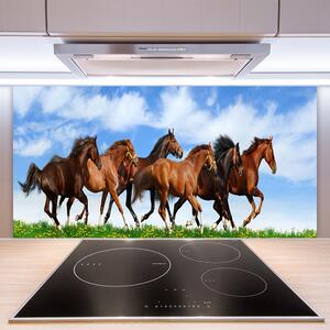 Sklenený obklad Do kuchyne Cválajúci kone na pastvine 100x50 cm
