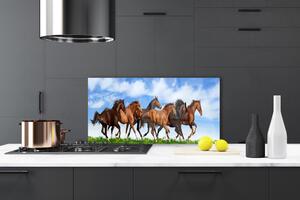 Sklenený obklad Do kuchyne Cválajúci kone na pastvine 100x50 cm