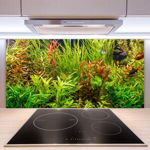 Sklenený obklad Do kuchyne Akvárium rybičky rastliny 100x50 cm