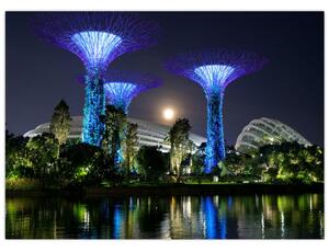 Obraz splnu v Singapurských záhradách (70x50 cm)