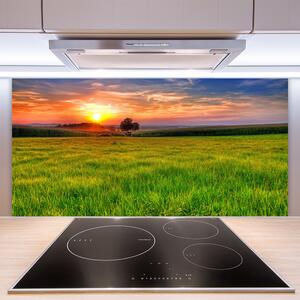 Sklenený obklad Do kuchyne Lúka slnko príroda 100x50 cm