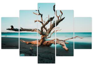 Obraz - Vyplavenie na pláži (150x105 cm)
