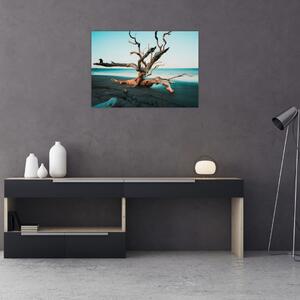 Obraz - Vyplavenie na pláži (70x50 cm)