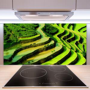 Sklenený obklad Do kuchyne Pole ryža les umenie 100x50 cm