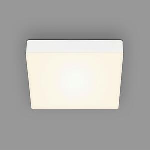 STROPNÉ LED SVIETIDLO, 21.2/21.2/3.6 cm - Interiérové svietidlá
