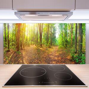 Sklenený obklad Do kuchyne Slnko príroda lesné chodník 100x50 cm
