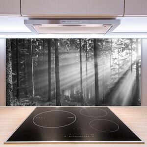 Sklenený obklad Do kuchyne Les príroda lúče slnka 100x50 cm
