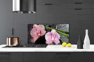 Sklenený obklad Do kuchyne Kvety orchidea kamene zen 100x50 cm