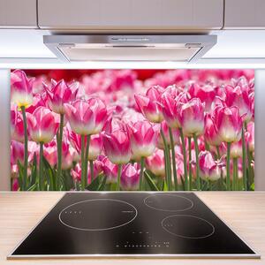 Sklenený obklad Do kuchyne Tulipány kvety príroda 100x50 cm