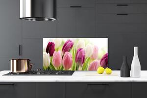 Sklenený obklad Do kuchyne Tulipány kvety príroda lúka 100x50 cm