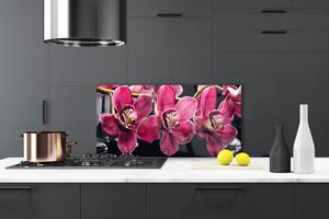Sklenený obklad Do kuchyne Kvety orchidey výhonky príroda 100x50 cm