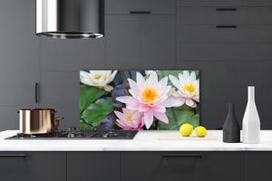 Sklenený obklad Do kuchyne Kvety rastlina príroda 100x50 cm