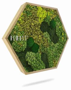 Machový Hexagon BEMOSS® ORTHO MEDIUM - Priemer 30 cm (v najširšom mieste šesťuholníka)