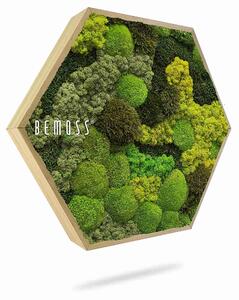 Machový Hexagon BEMOSS® ORTHO TELDE - Priemer 30 cm (v najširšom mieste šesťuholníka)