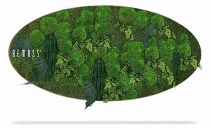 Machový obraz Elipsa RASTLINY Moreilo - 50 x 100 cm