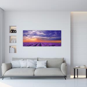 Obraz levanduľového pole (120x50 cm)