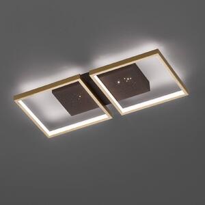 Stropné LED svietidlo Pix, hnedé, 2-pl., 54x25cm