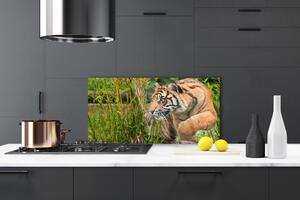 Sklenený obklad Do kuchyne Tiger zvieratá 100x50 cm