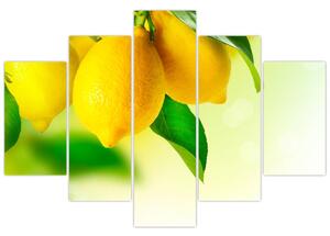 Obraz citrónov (150x105 cm)