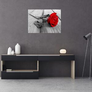 Obraz červených ruží (70x50 cm)