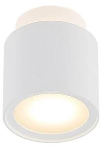 Arcchio - Walisa Stropné Lampa White/Frosted