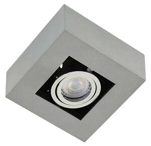 Arcchio - Vince 1 Stropné Lampa Silver