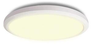 Halo Design - Ultra LED Stropné Lampa Ø24
