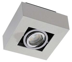 Arcchio - Vince 1 Stropné Lampa White