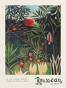 Umelecká tlač Monkeys & Parrot (In the Virgin Forest) - Henri Rousseau, (30 x 40 cm)
