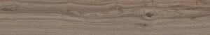 Sequoya Walnut 20x120 R